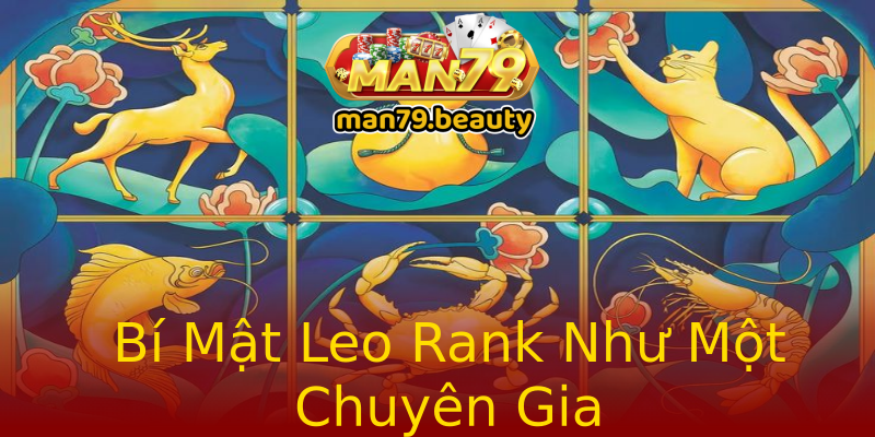 Bí Mật Leo Rank Như Một Chuyên Gia Bí Mật Leo Rank Như Một Chuyên Gia