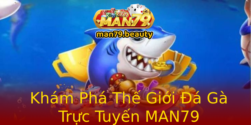 Khám Phá Thế Giới Đá Gà Trực Tuyến MAN79 Khám Phá Thế Giới Đá Gà Trực Tuyến MAN79