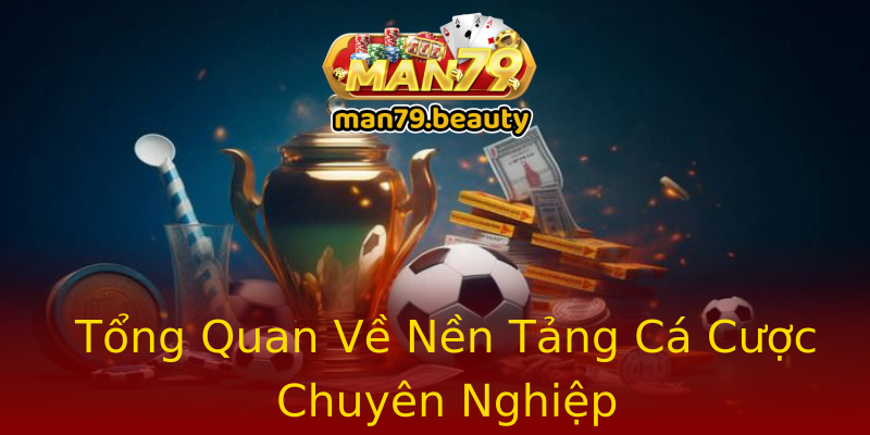 Tổng Quan Về Nền Tảng Cá Cược Chuyên Nghiệp Tổng Quan Về Nền Tảng Cá Cược Chuyên Nghiệp